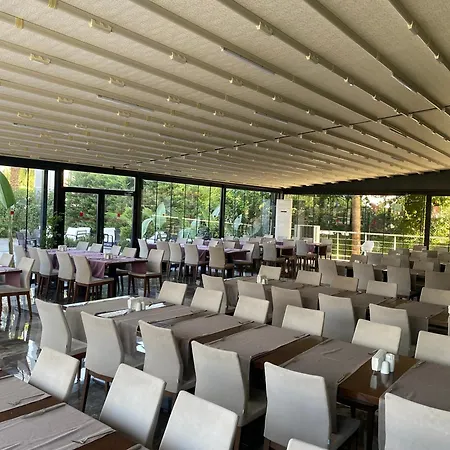 B Business Hotel & Spa-2